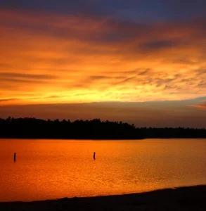 Richard R. Dosenbach