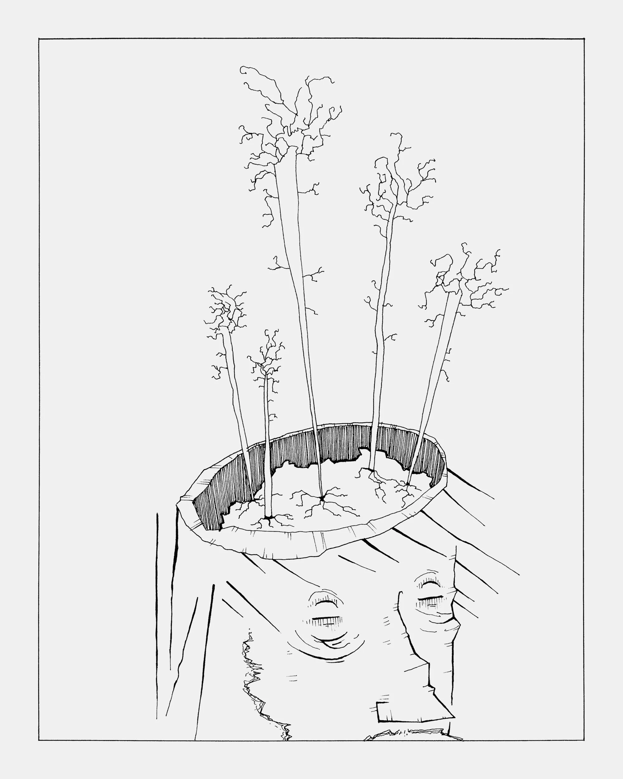 cloud-forest-6_8x10.jpg