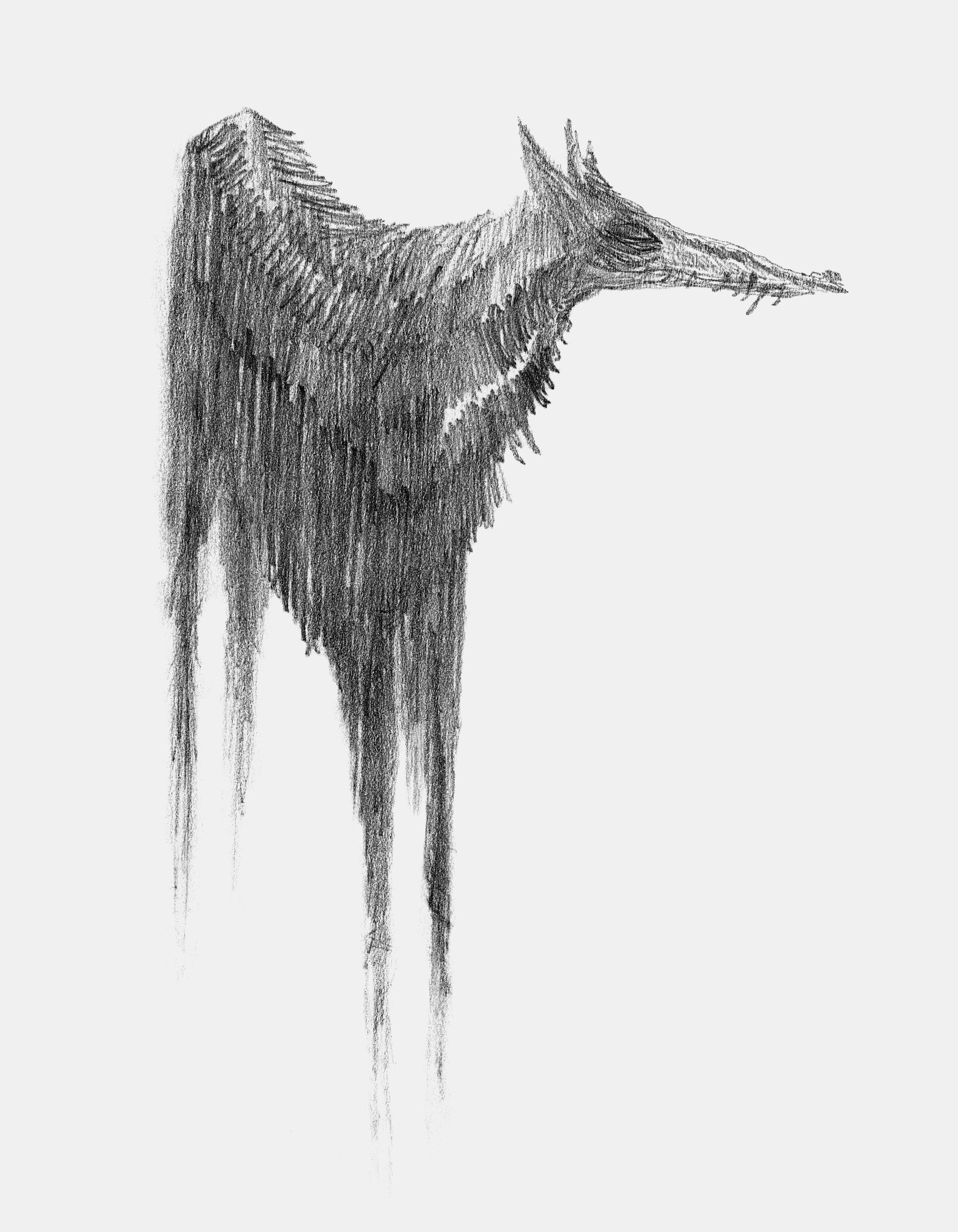 "Moss" Wolf Drawing