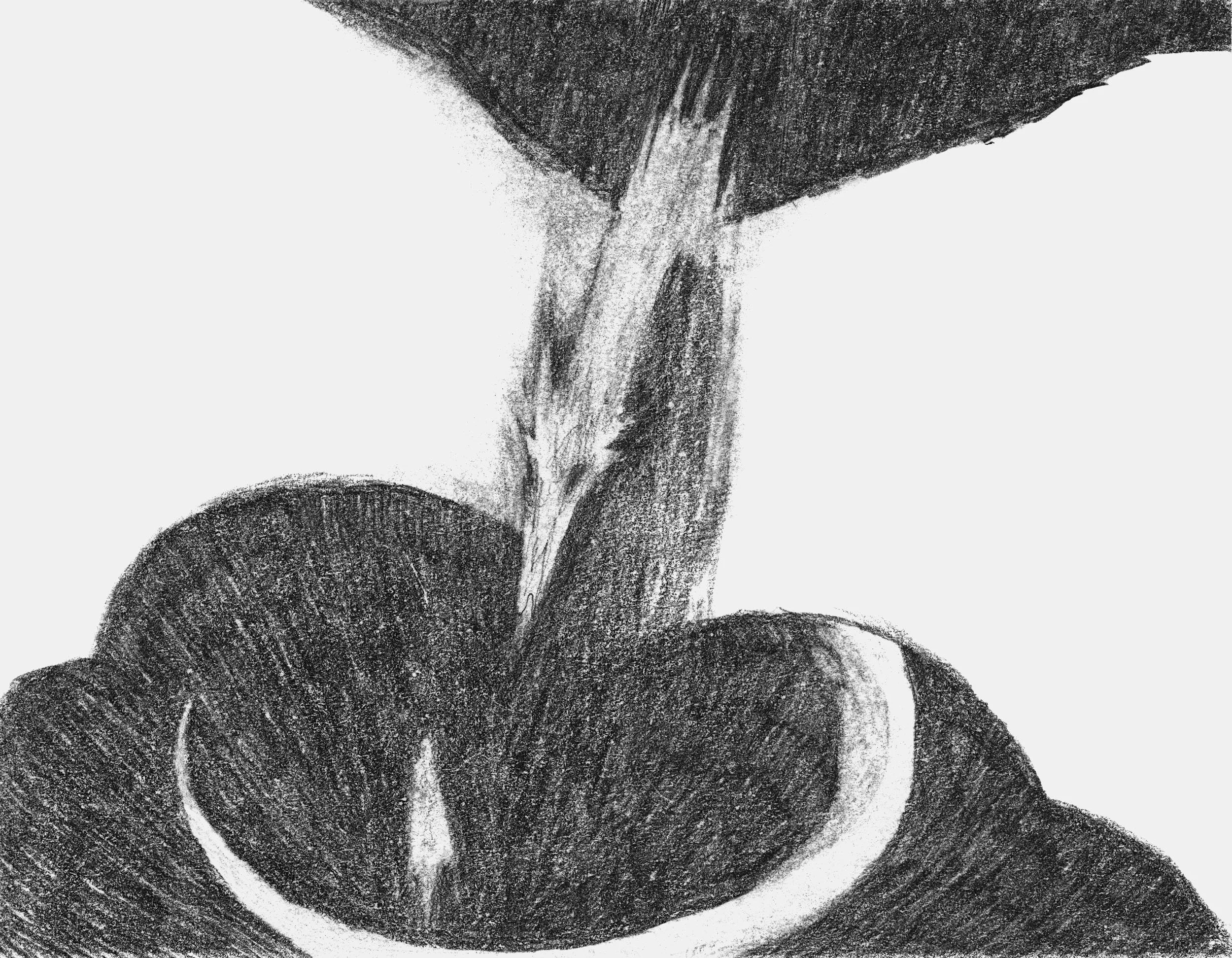 "Skorl" Medieval Dragon Illustration