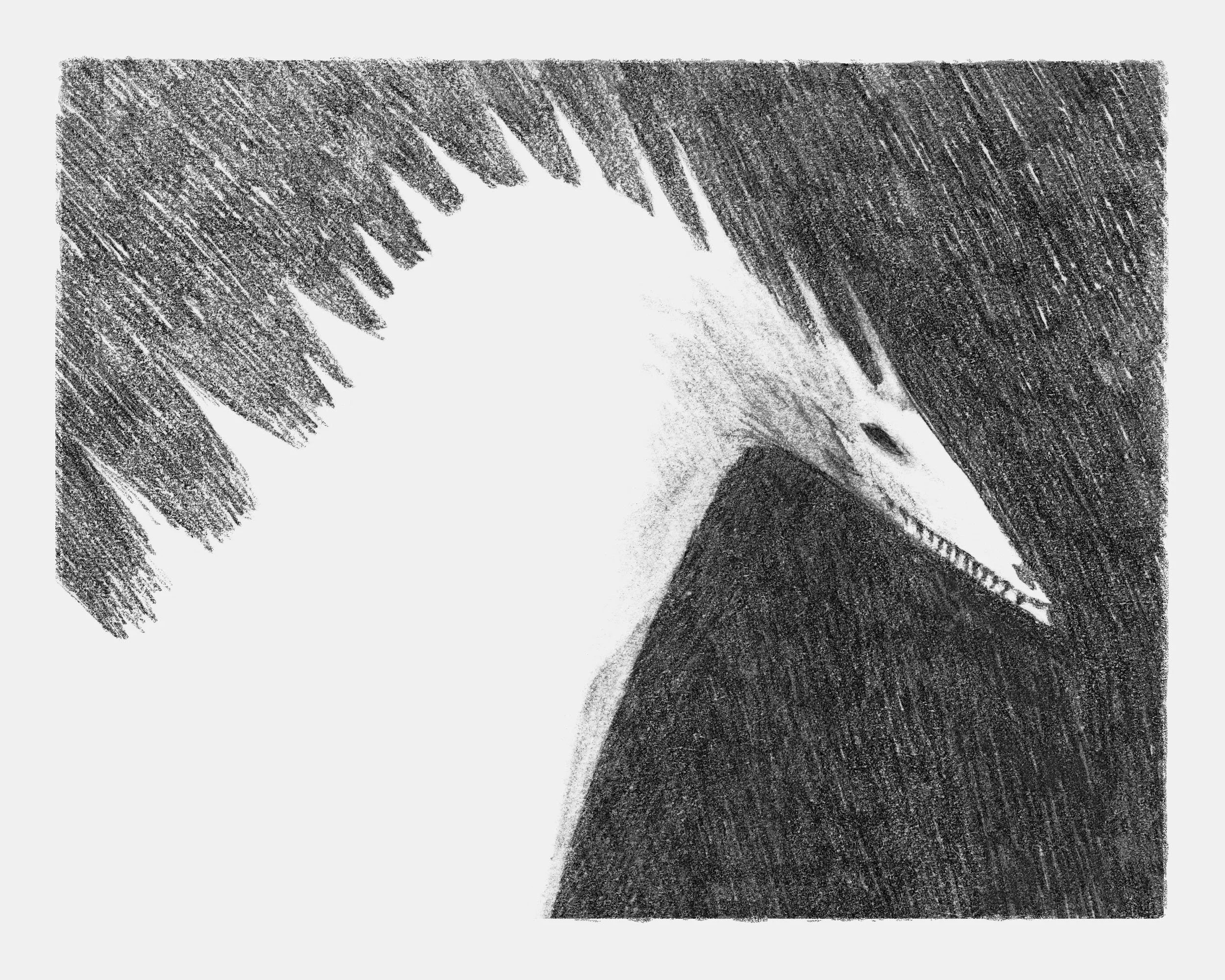 skorl 01_8x10.jpg