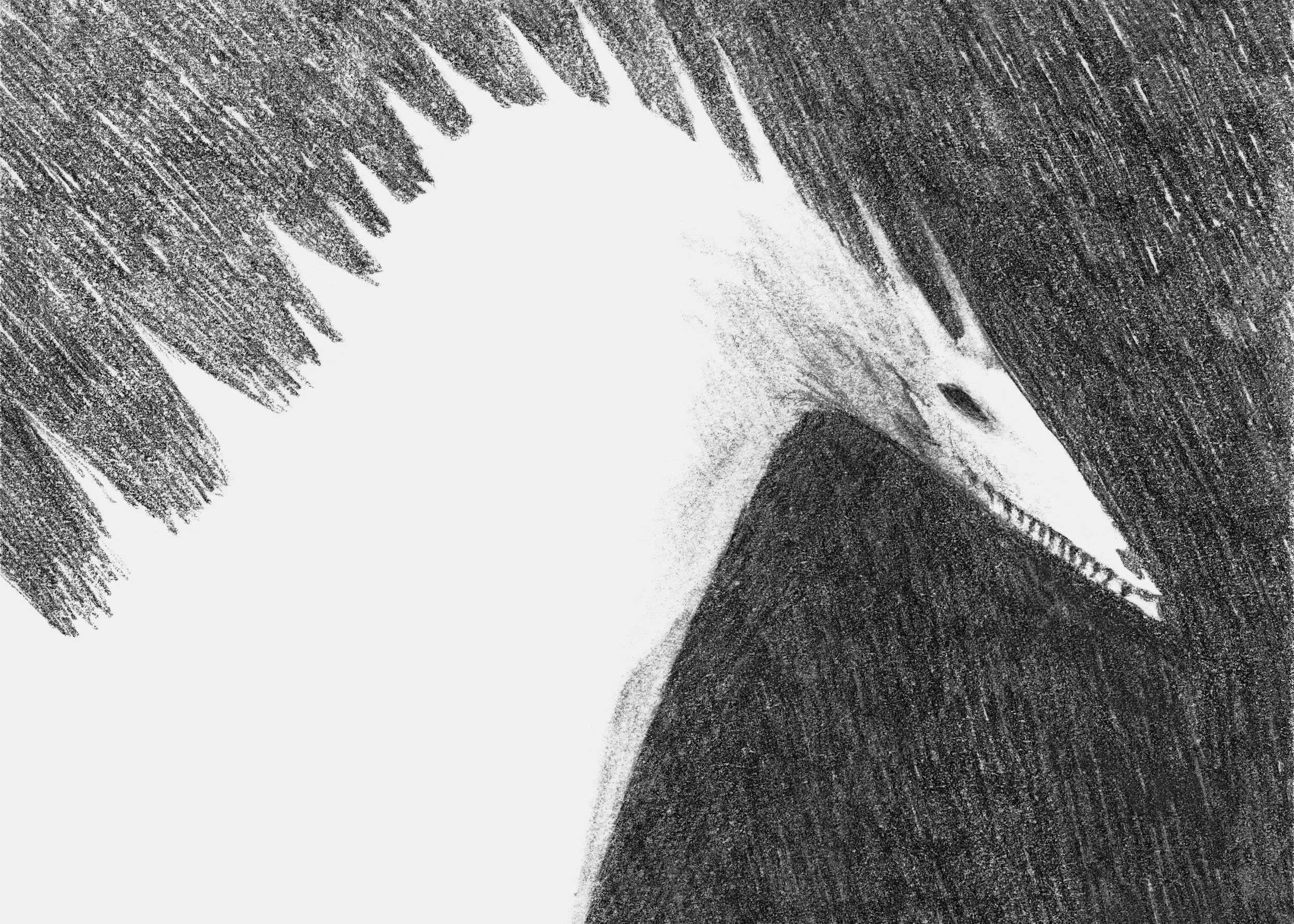 skorl 01_5x7.jpg