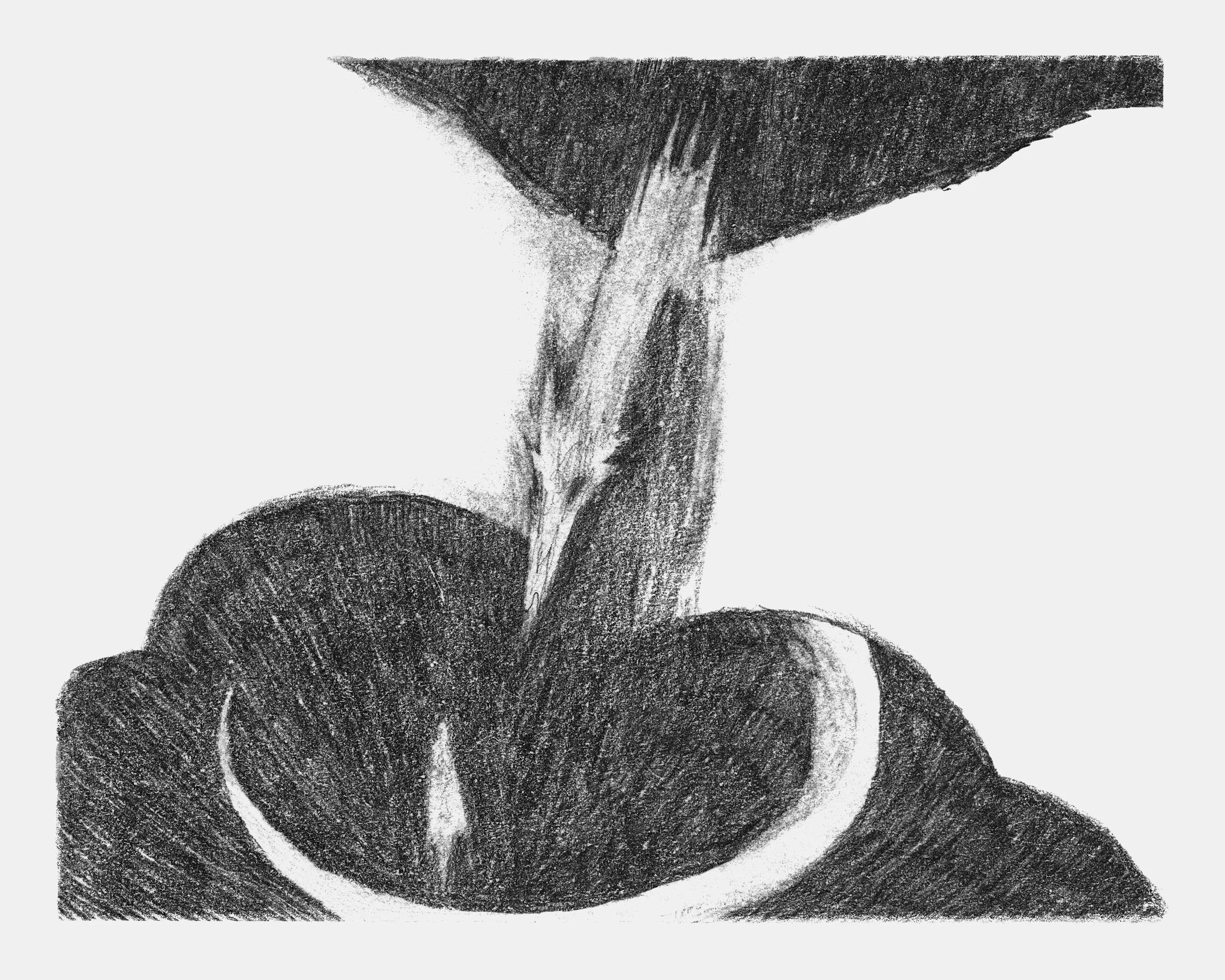 skorl 02_8x10.jpg