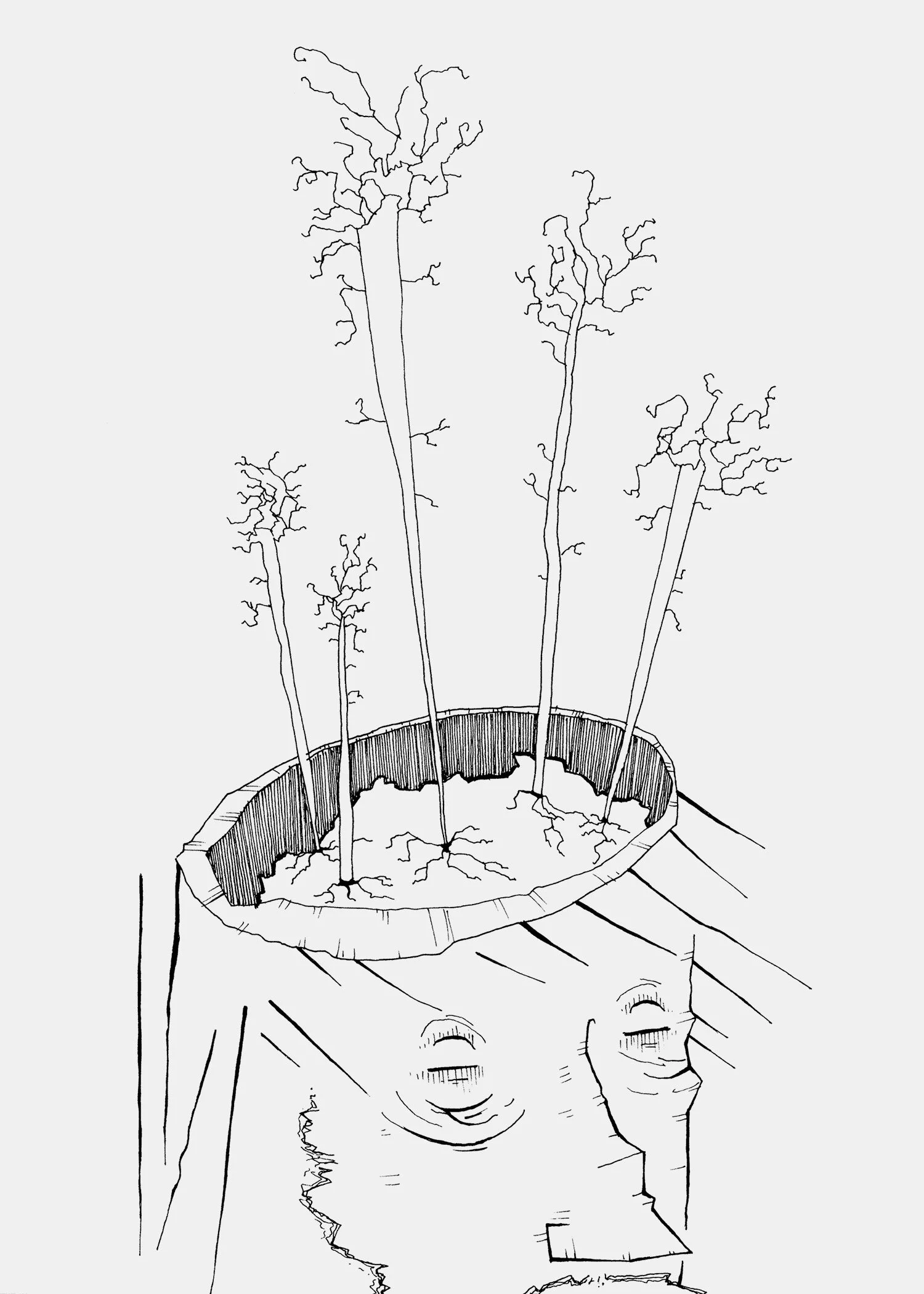 cloud-forest-6_5x7.jpg