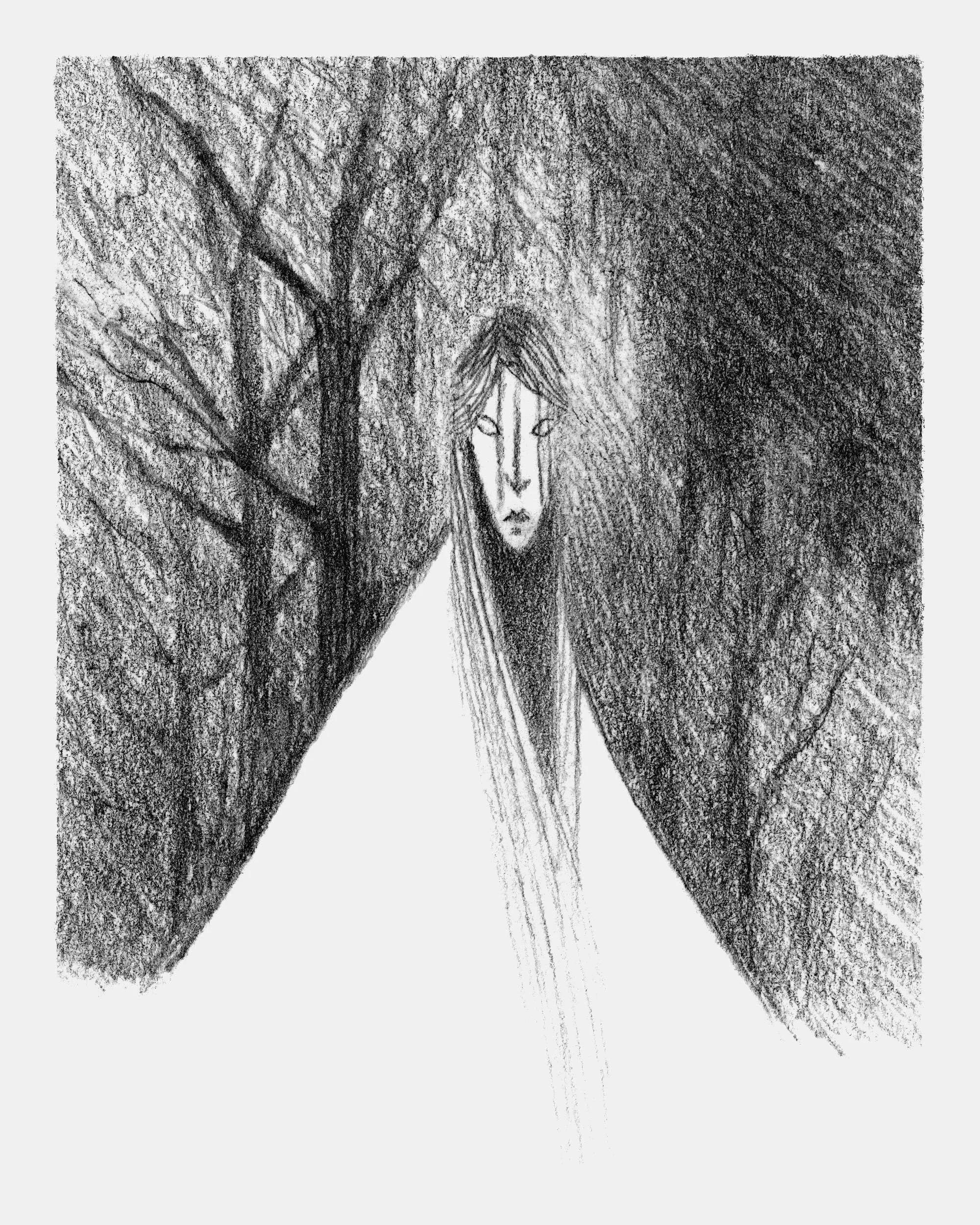 apparition in the fog forest_8x10.jpg