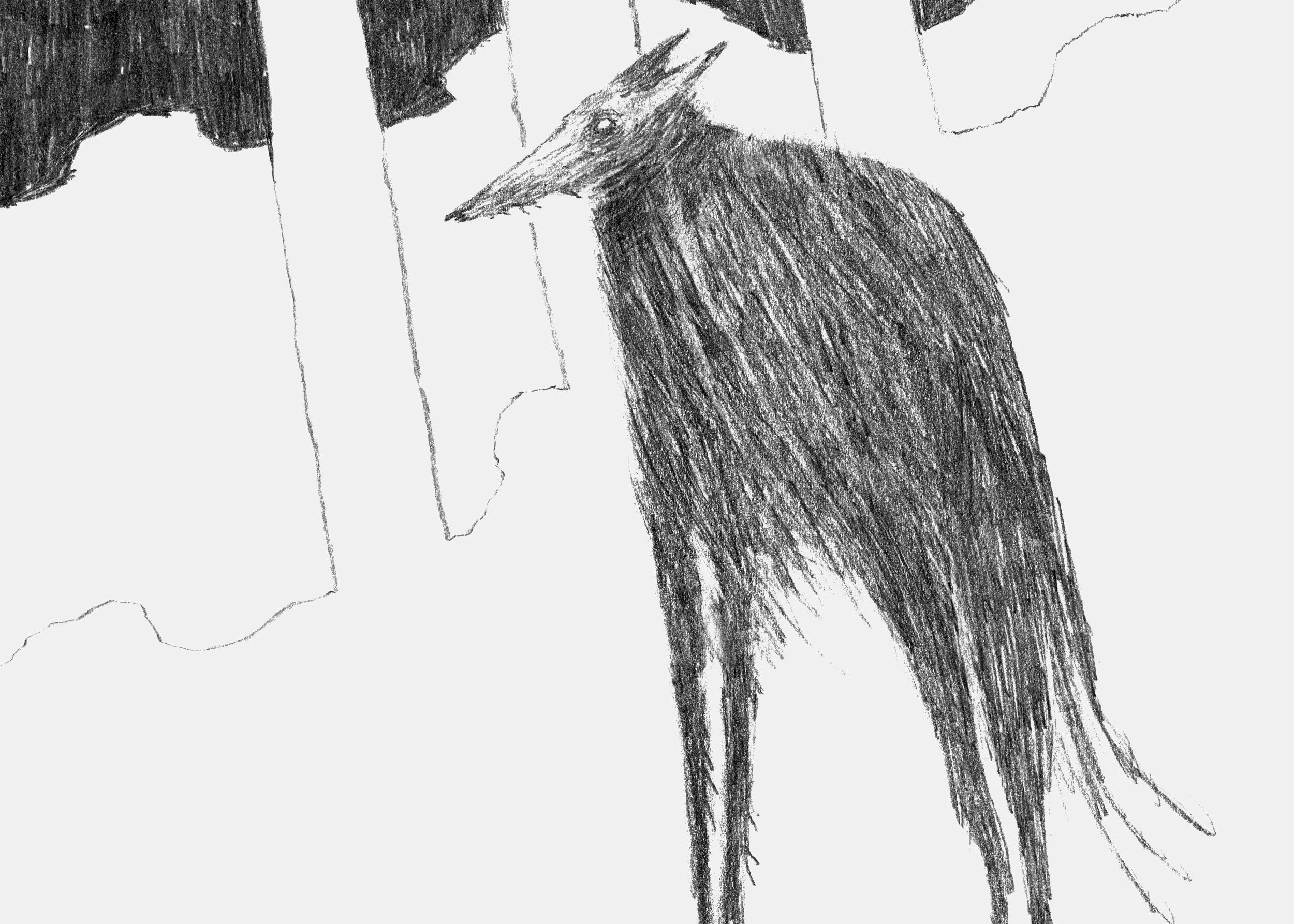 moss03_5x7.jpg