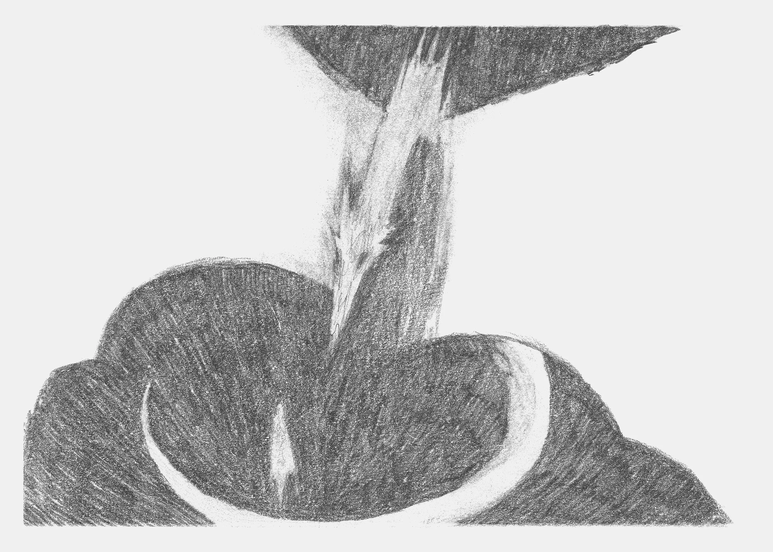 skorl-02_5x7.jpg