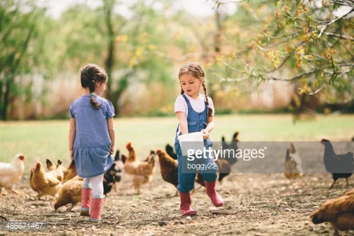 Photo by boggy22/iStock / Getty Images