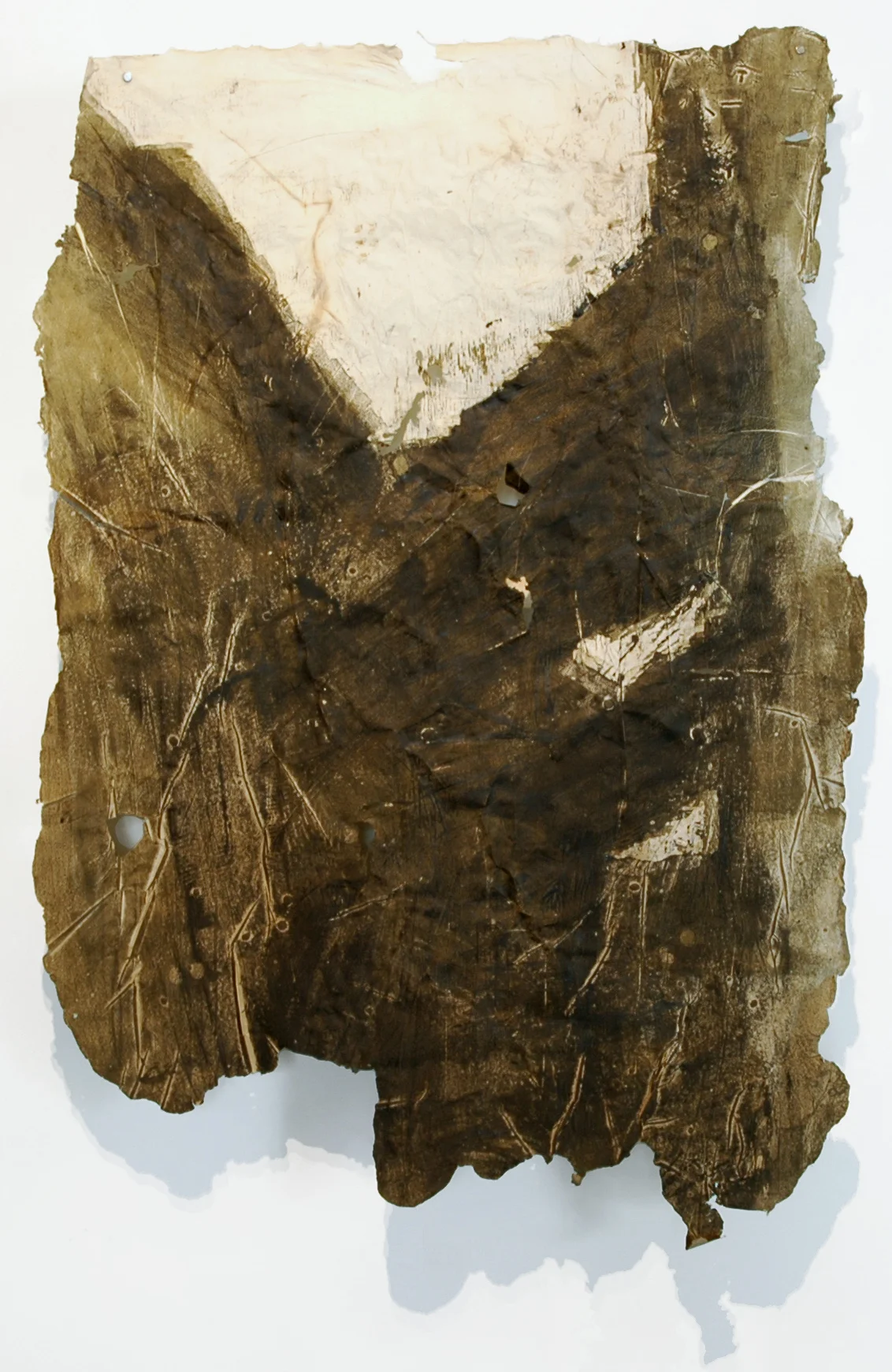 Cinclaire Study 5, 2011, Handmade Paper, Charcoal Cast Woodcut, Charcoal, 46" x 31"