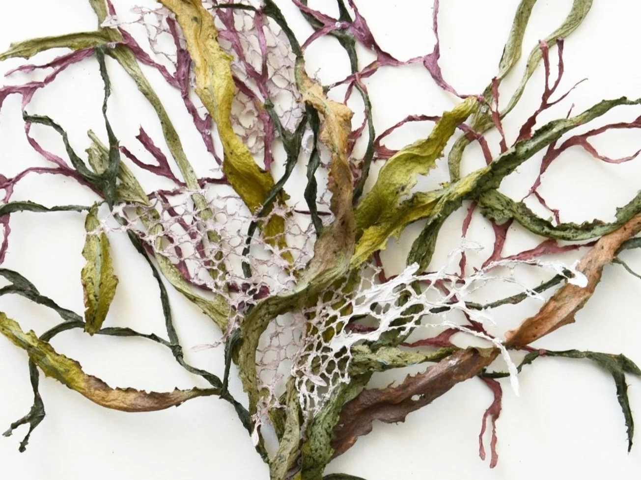 2026 Exhibition Calendar