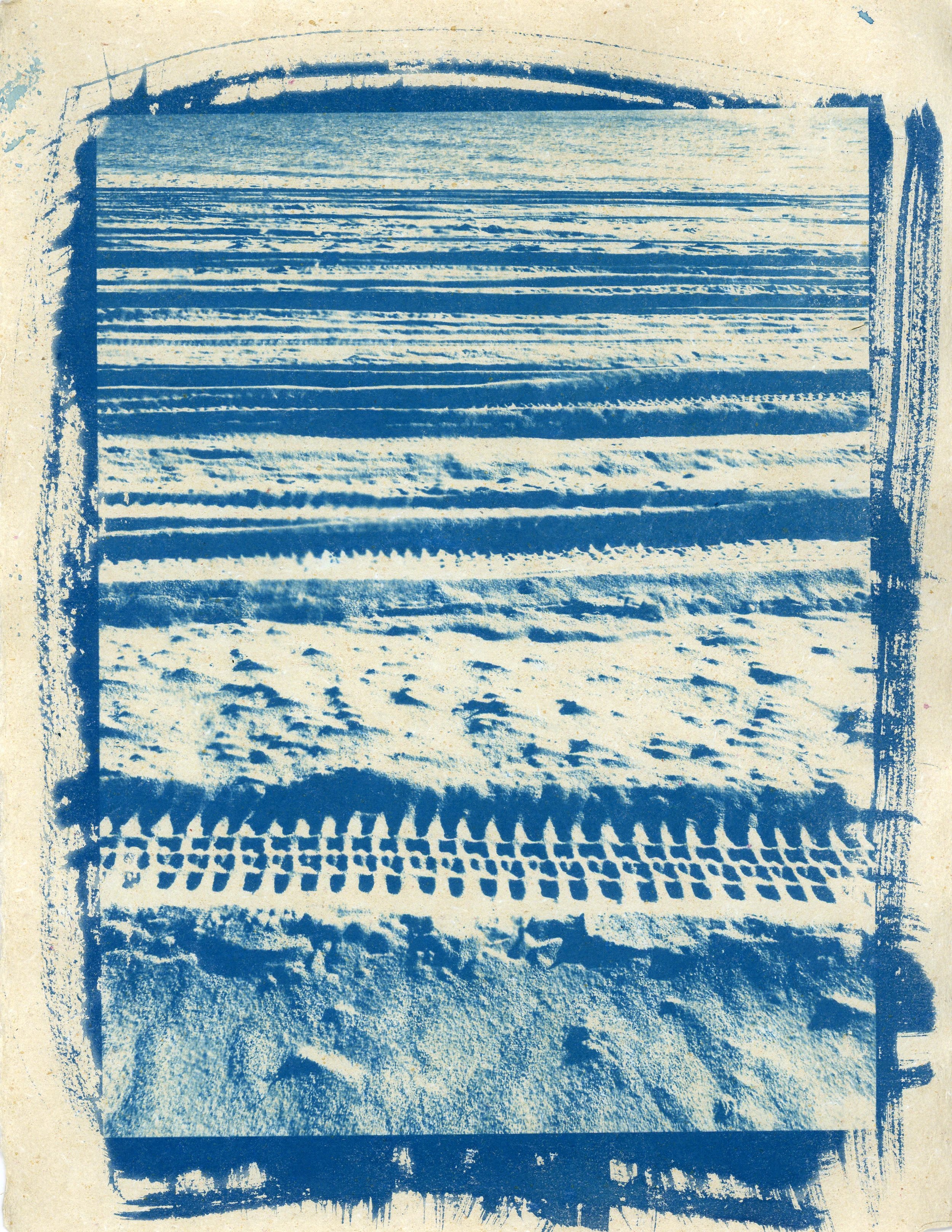 cyanotype008.jpg
