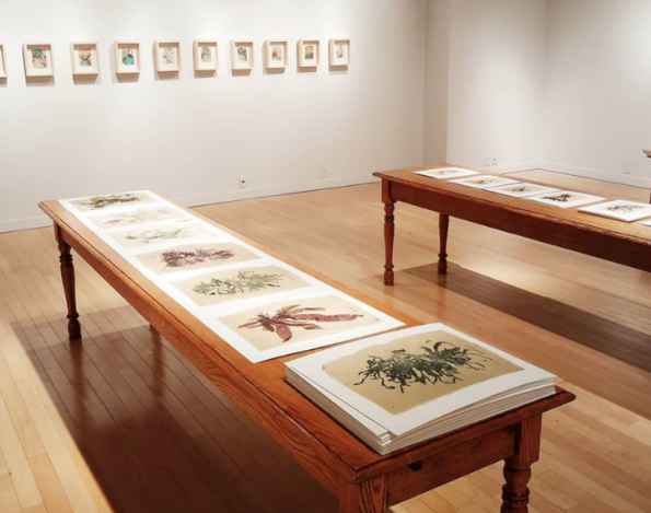 Artist in Residence at Salve Regina University in Newport