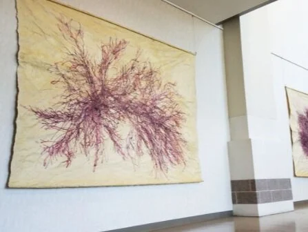 Exhibition at T.F. Green Airport