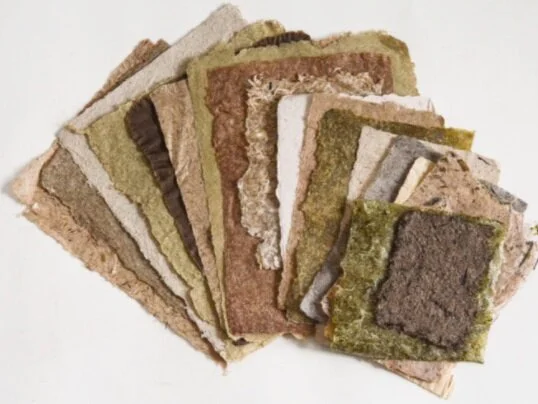 Papermaking Using Locally Foraged Plant Fibers @Harvest Kitchen 9/12/2019