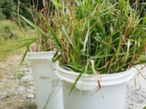 Pop-Up Paper Mill at the White Mountain National Forest, NH - 8/31