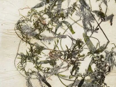 White Mountain National Forest, NH, Artist in Residence, August 14 - September 3, 2019