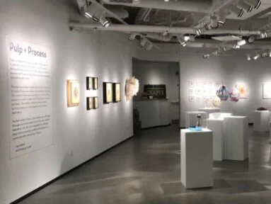 Pulp + Process, Society of Arts & Crafts, Boston MA