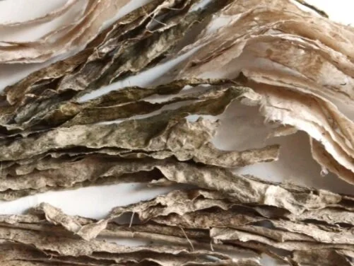 The Matter of Tides, a Paper Installation at Sprout Gallery