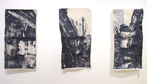 Land Studies: New Work by May Babcock at AS220 Gallery