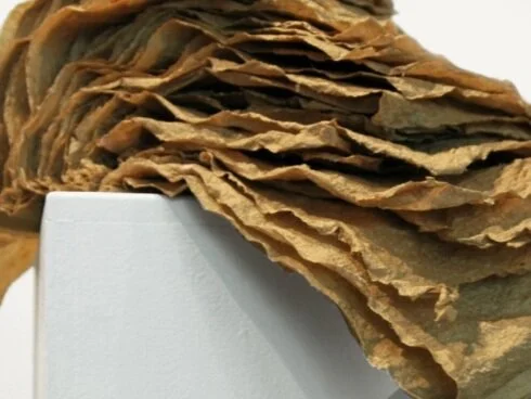 The Latent Landscape