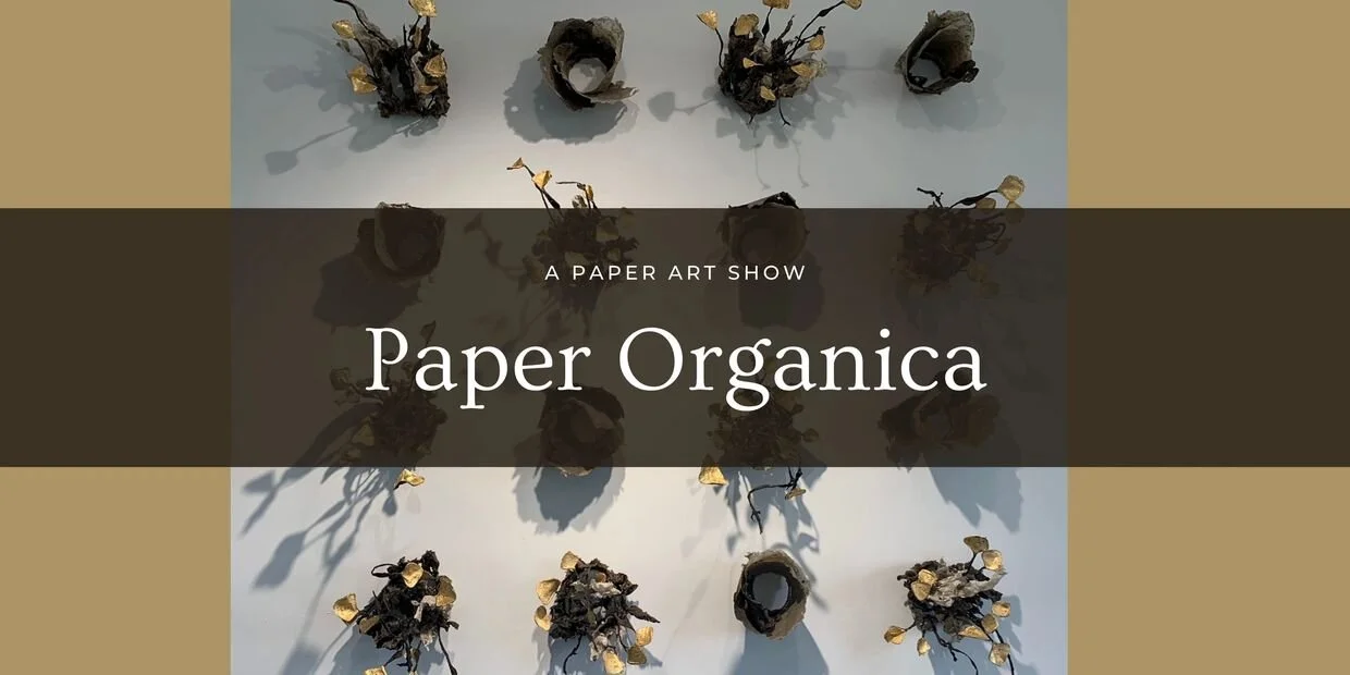 Paper Organica at Homegrown Gallery