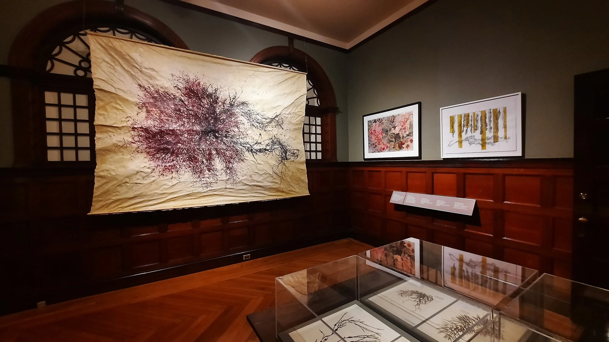 New Bedford Whaling Museum: Cultures of Seaweed Exhibition