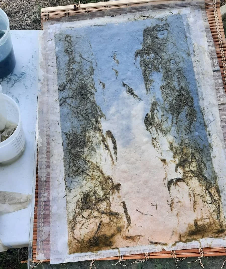 New fiber results 🌿👀, plus pulp painting layers