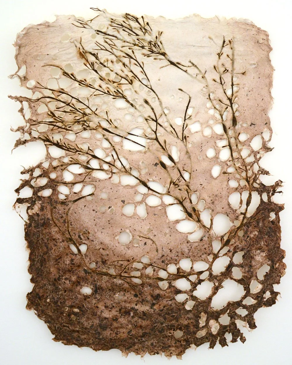 Seaweed Paper Art in Providence Monthly