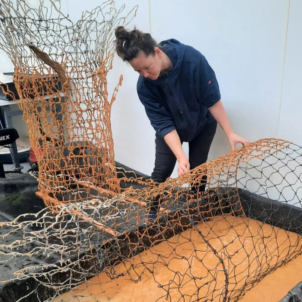 In Progress: Seaside Chestnuts, A New Site-Specific Installation