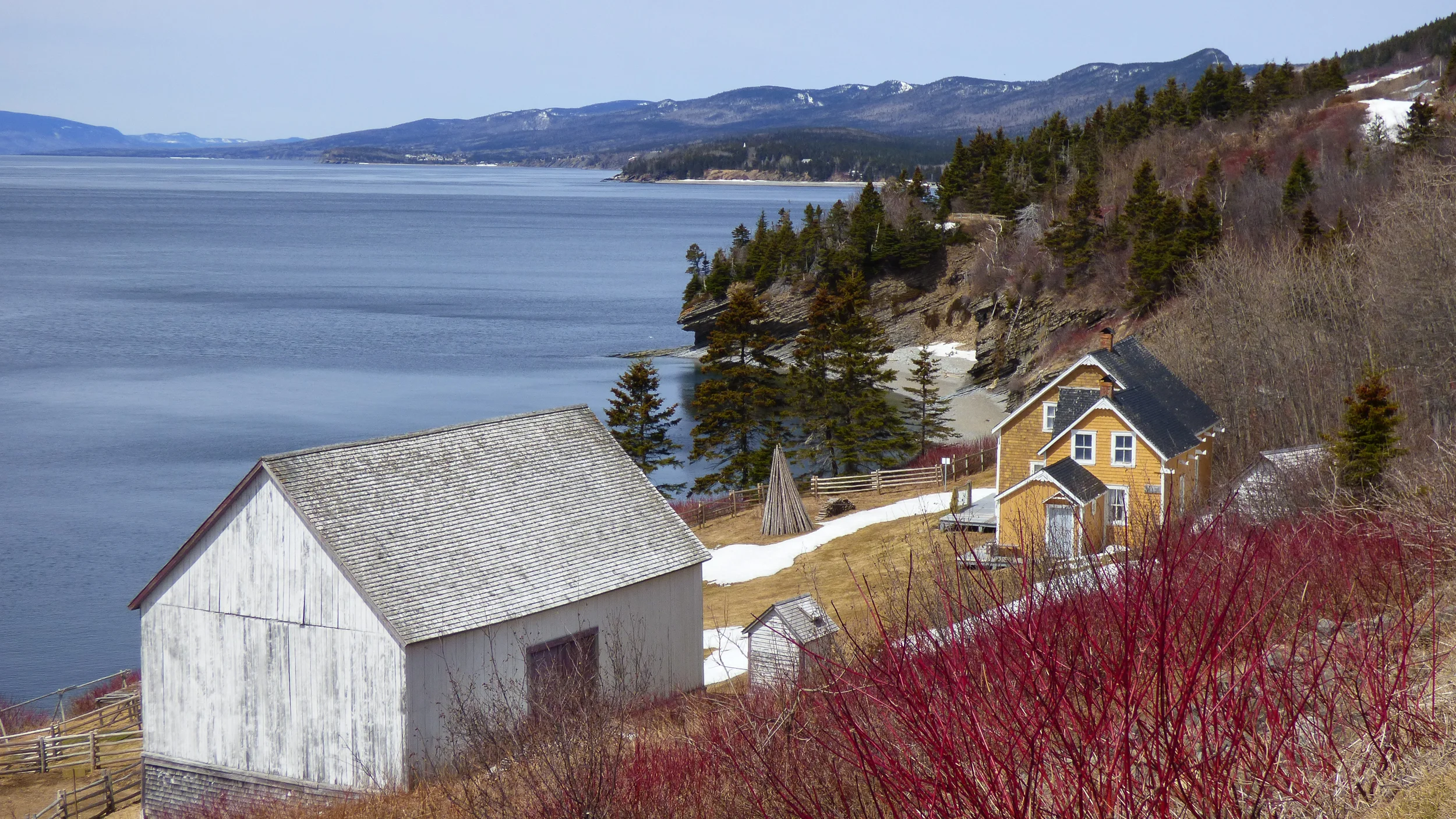 P1110792-3.jpg