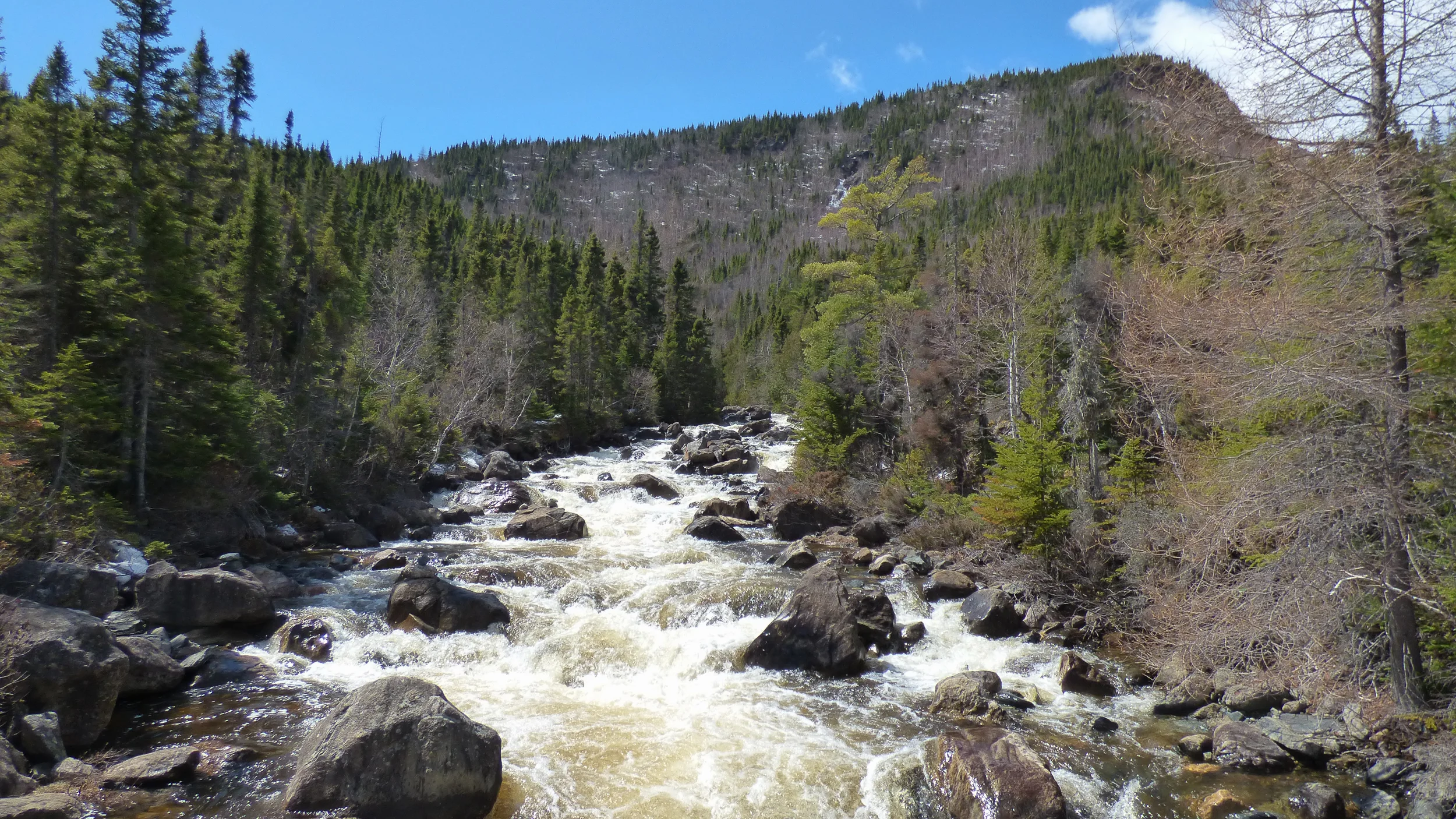 P1110445-3.jpg