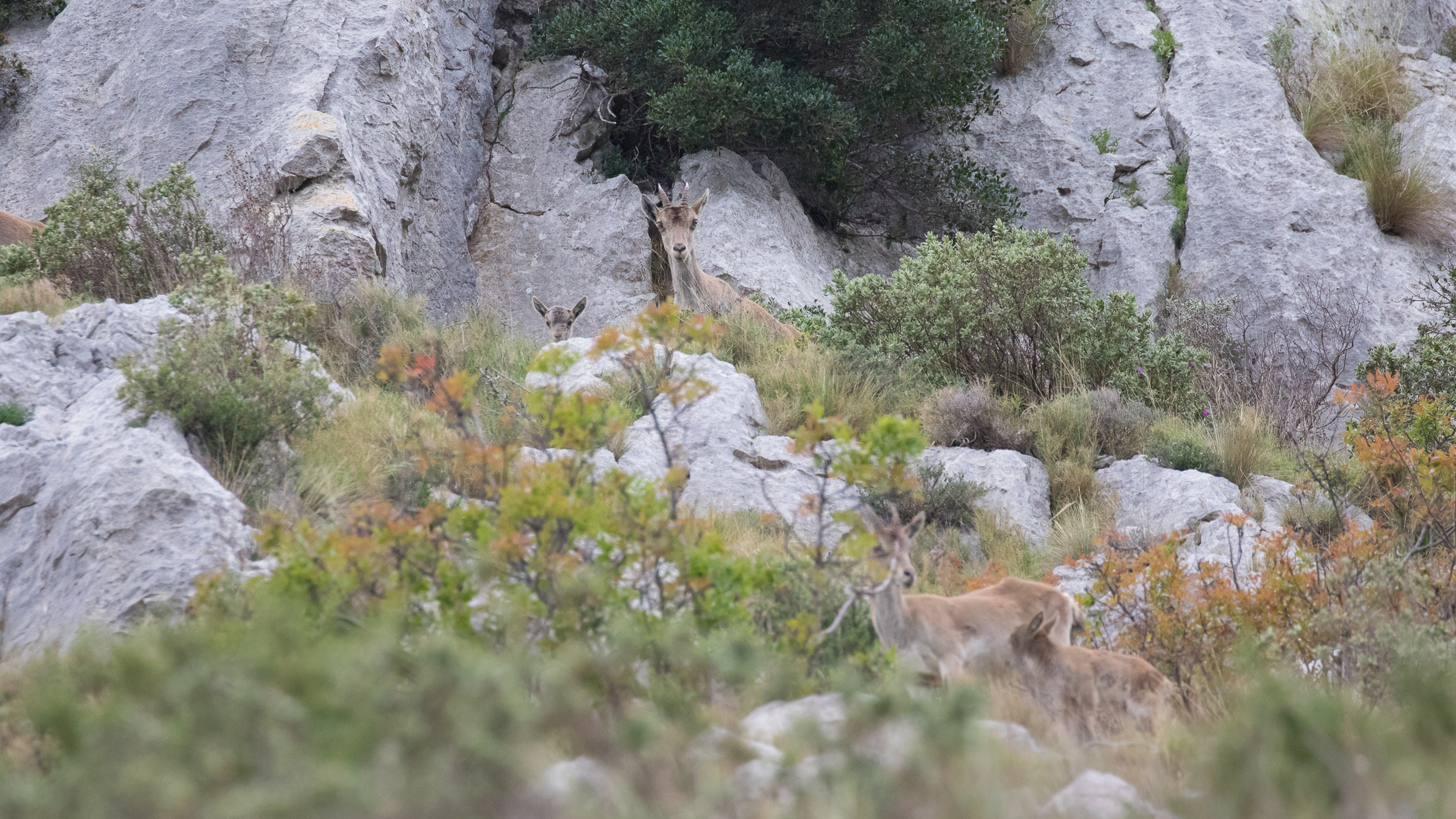 J33A7859-2019.jpg