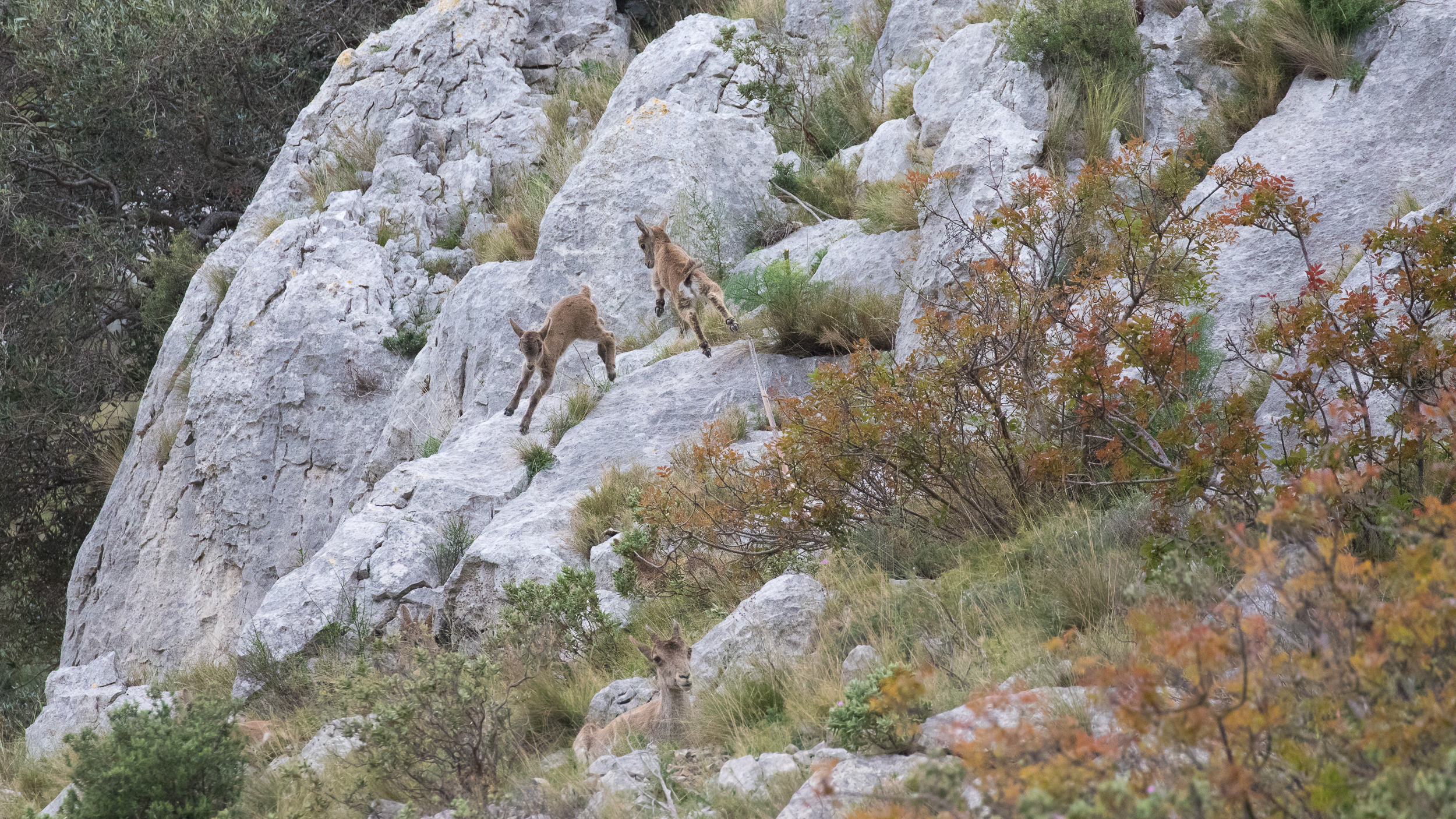 J33A7966-2019.jpg