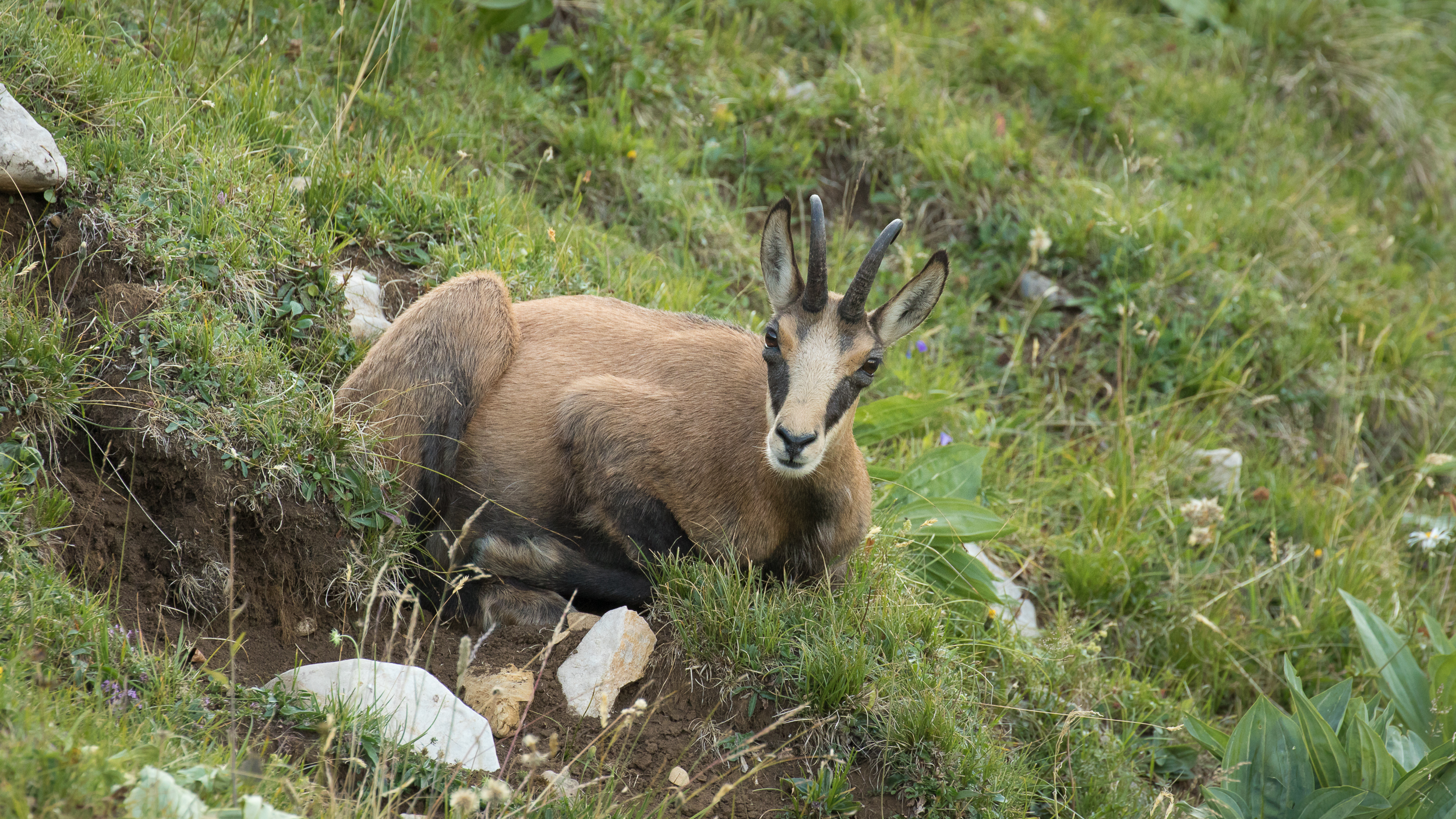 J33A7710-2019.jpg