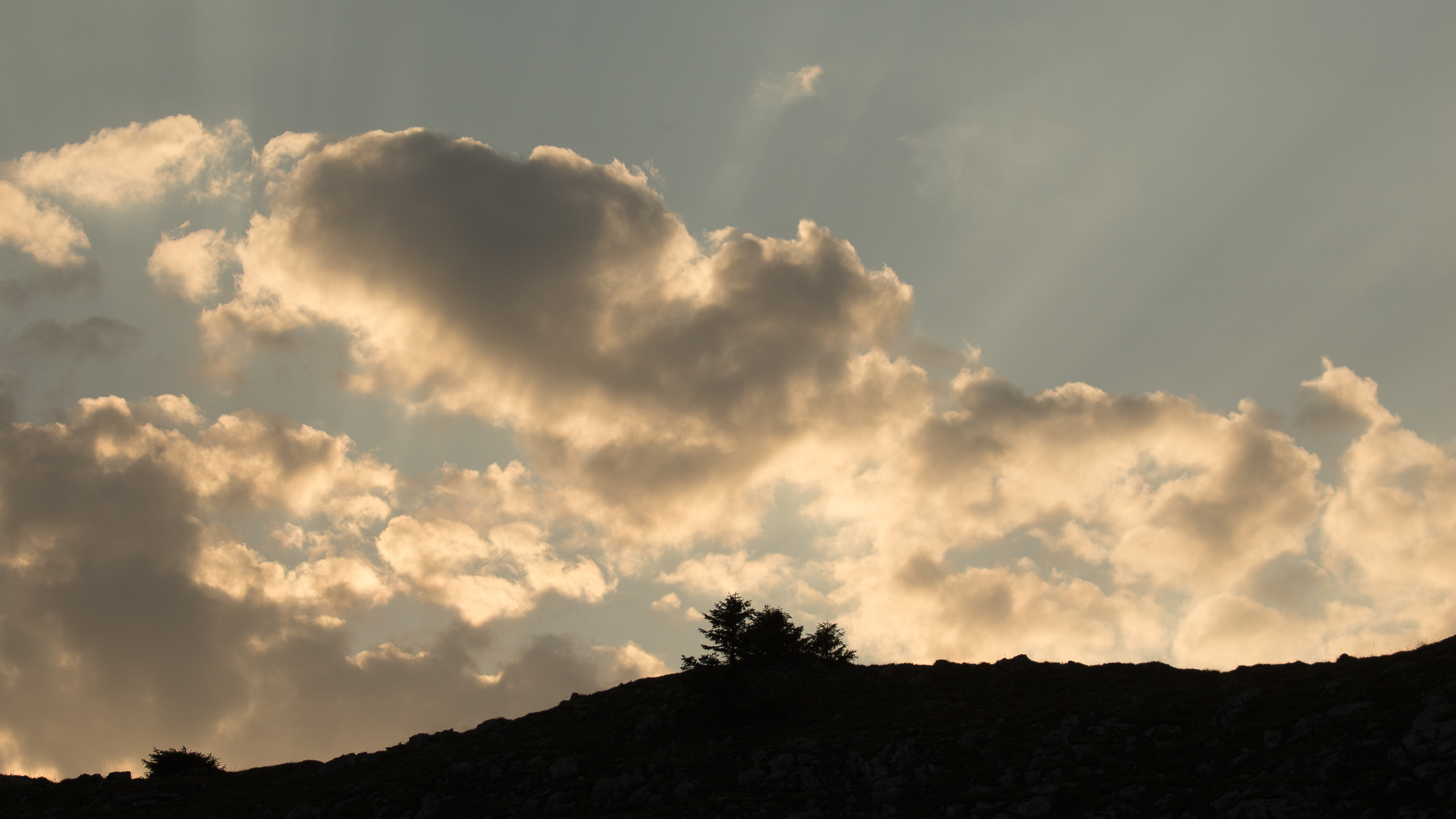 J33A7769-2019.jpg
