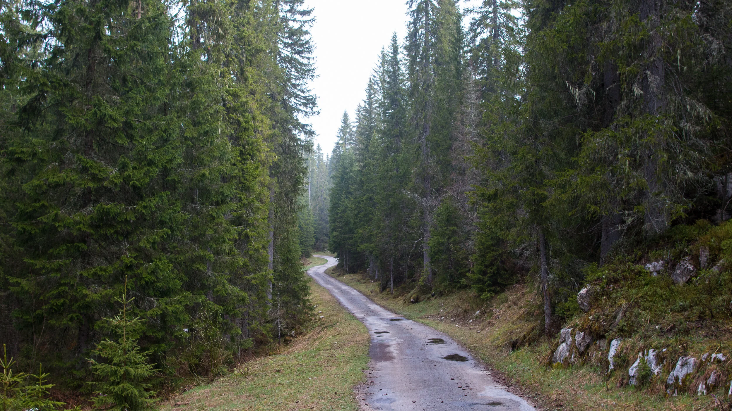 IMG_9935-2019.jpg
