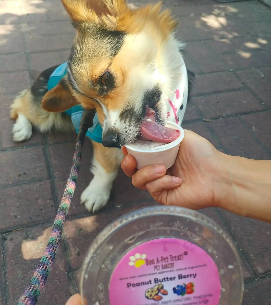 Bon-a-Pet-Treat! Pet Bakery