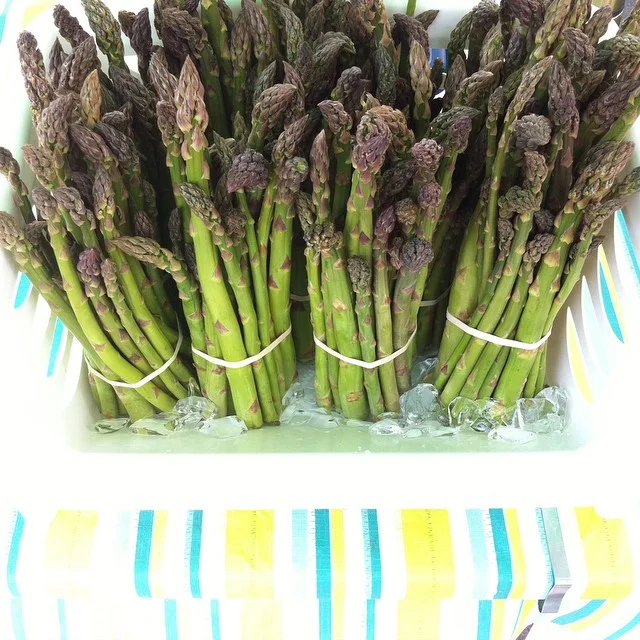 Bugsy's Produce
