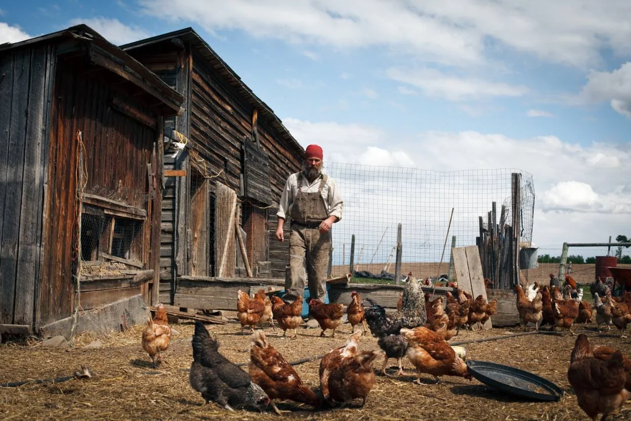 Thompson Small Farm