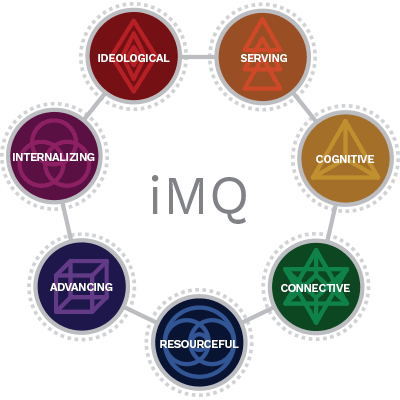 imq-assessment.png