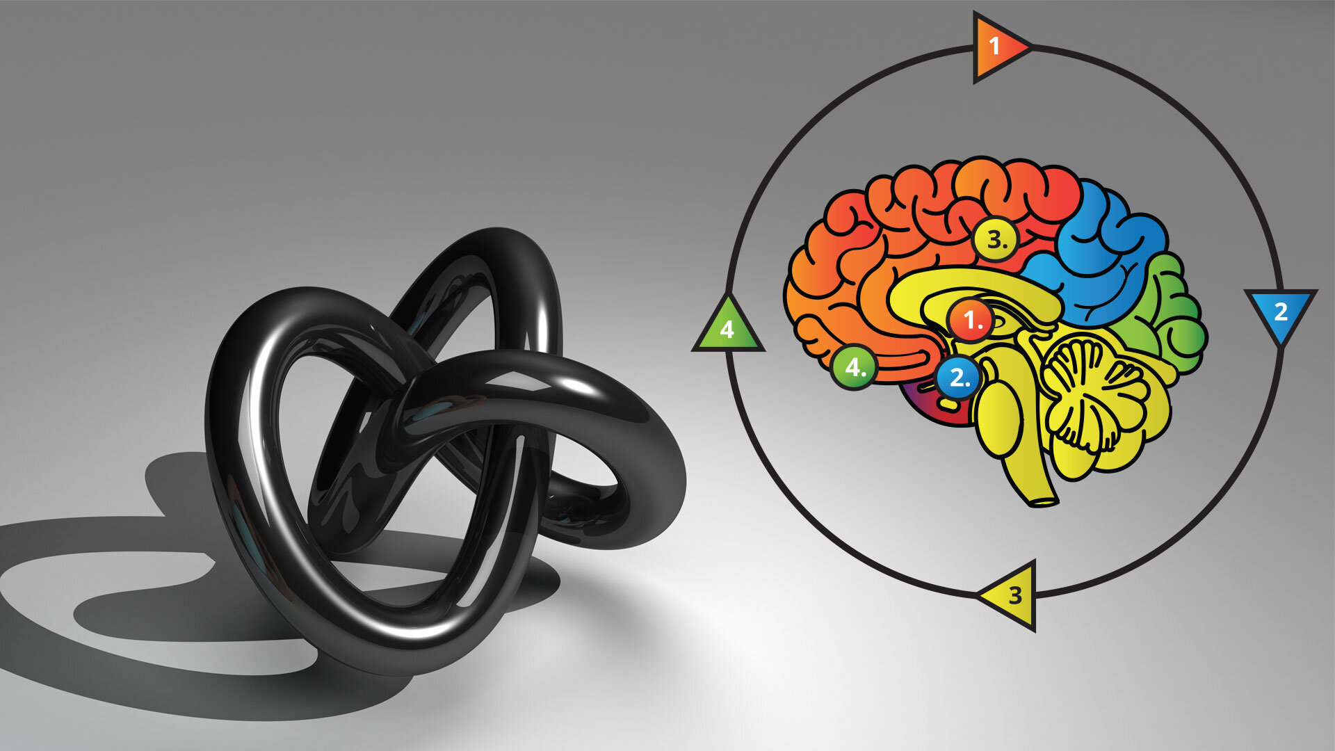 EQ Games? How Neuro-Gamification Speeds Up Emotional Intelligence — The  YouEQ Community