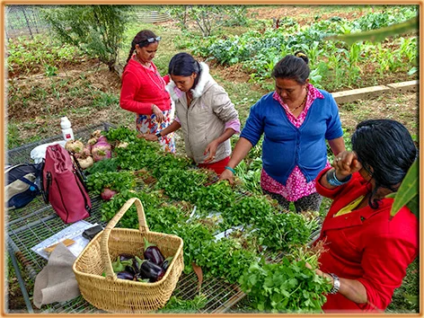 Practising English and skills in a garden
