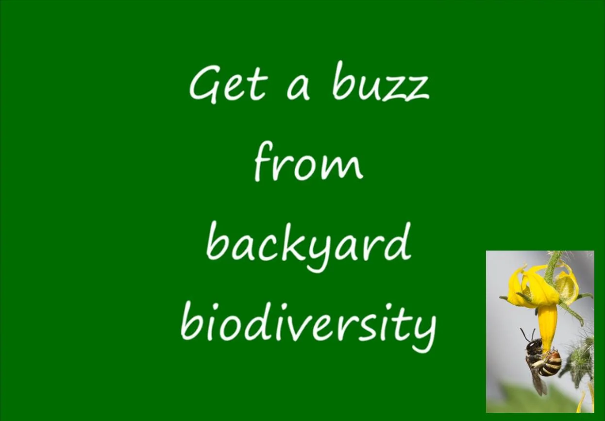 Bioflix 2013 - Inspiring, local biodiversity tales on film