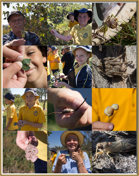 Image: some photos from Dr Walker's visit to Frayne College, Baranduda.