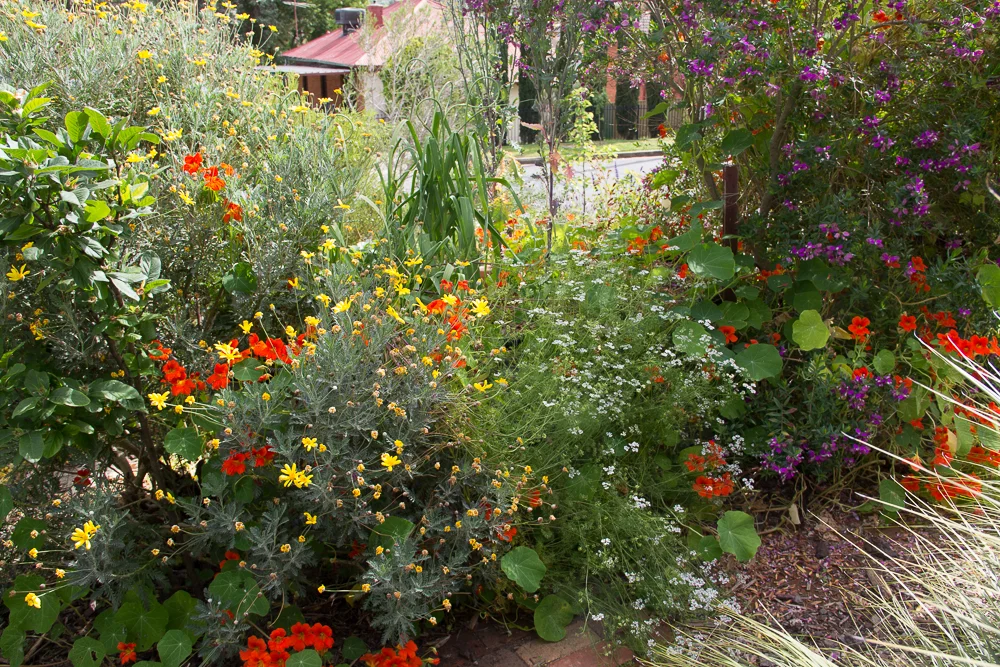 Bee forage record keeping