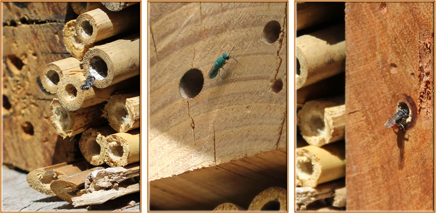 Common queries about our bee (insect) hotels