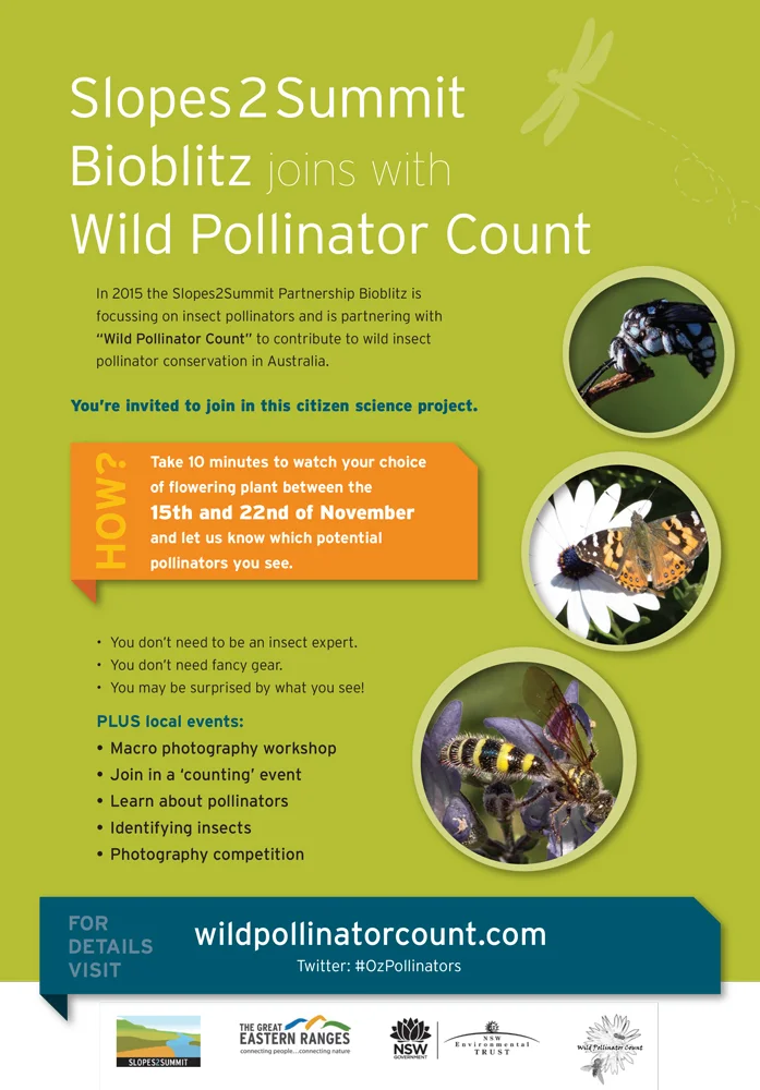 Wild Pollinator Count on again - 15-22 November