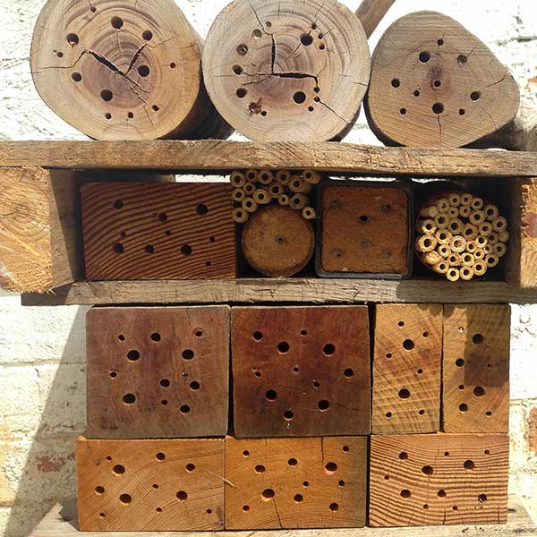 Another bee hotel added