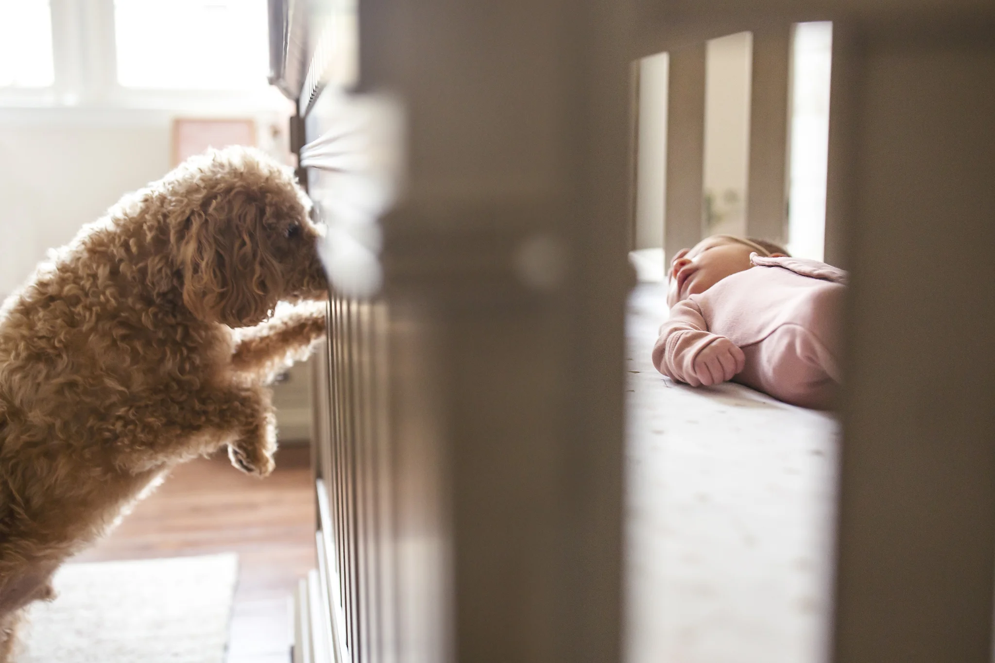 tesa_newborn_2019_041.jpg