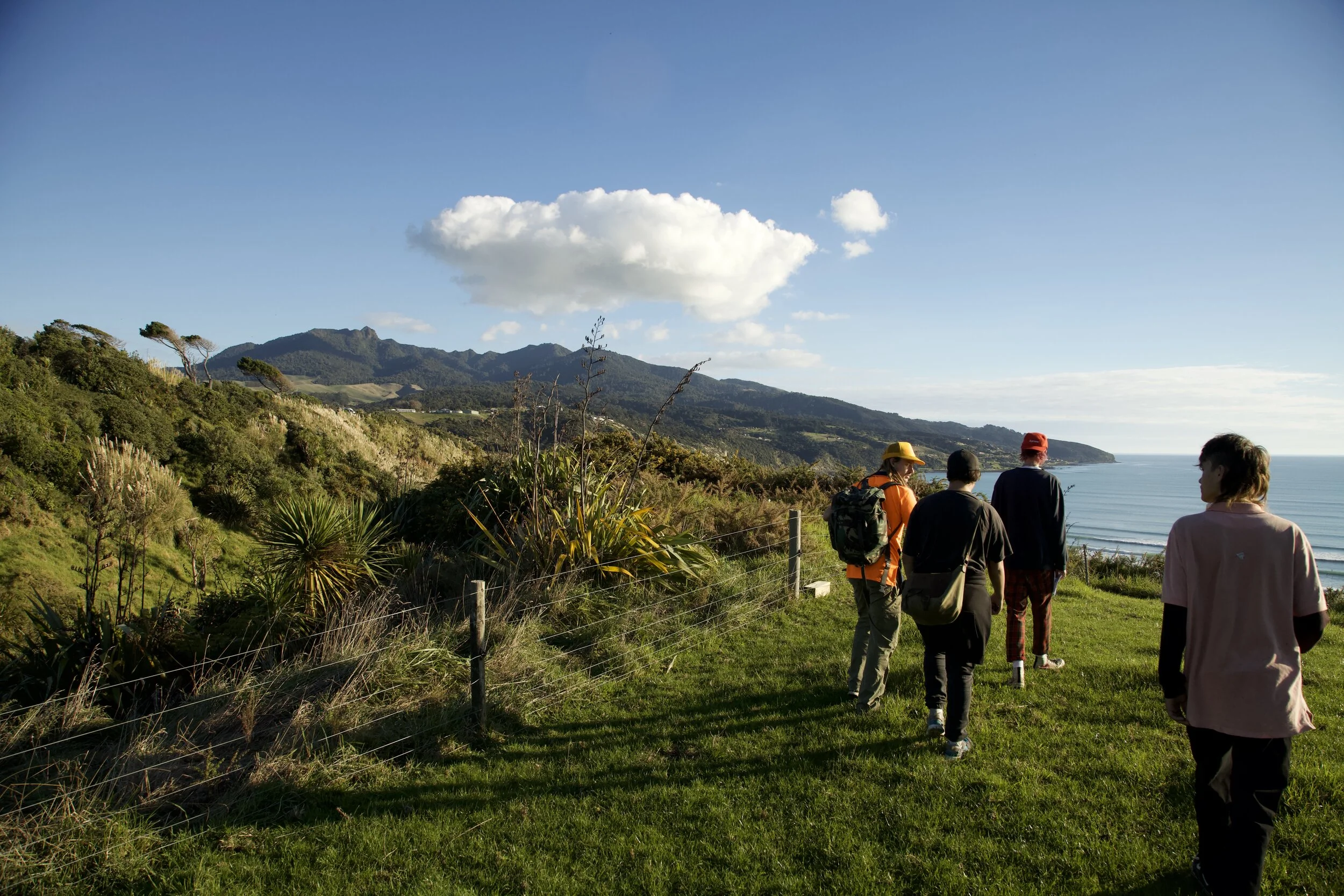 Oh, Rats! We can help!